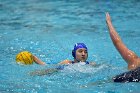 WWPolo vs CC  Wheaton College Women’s Water Polo compete in their sports inaugural match vs Connecticut College. - Photo By: KEITH NORDSTROM : Wheaton, water polo, inaugural